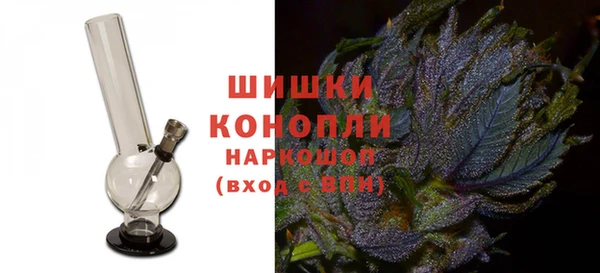 PSILOCYBIN Каменка