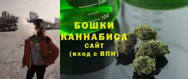 соль ск Каменногорск