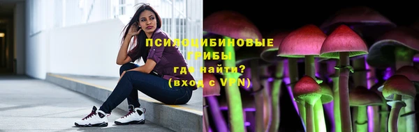 PSILOCYBIN Каменка