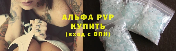 соль ск Каменногорск