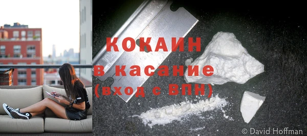 PSILOCYBIN Каменка