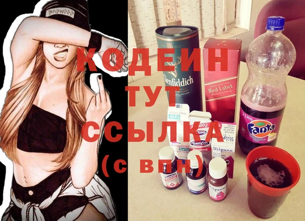 PSILOCYBIN Каменка