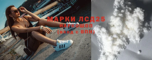 PSILOCYBIN Каменка