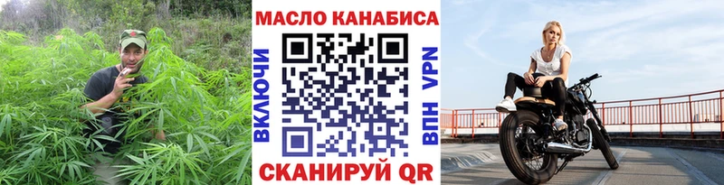 Купить закладки Курчалой Дистиллят ТГК THC oil