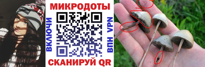 Псилоцибиновые грибы Cubensis  Купить закладки  Курчалой 