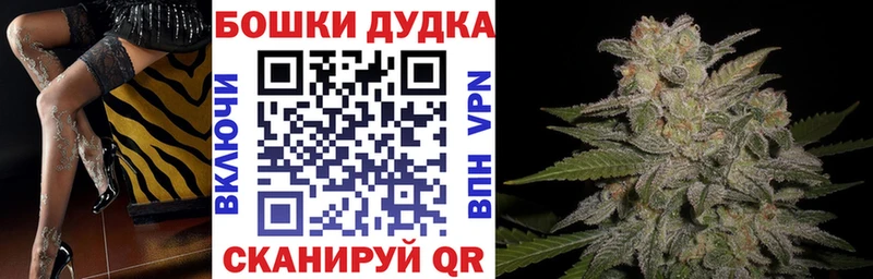Купить где  Курчалой  Конопля MAZAR 