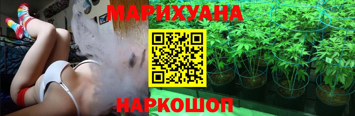 Бошки марихуана семена  Бошки Шишки SATIVA & INDICA  Курчалой  Вход с VPN 